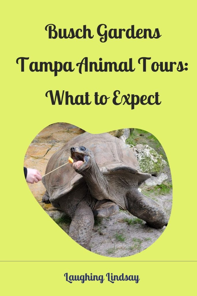 Busch Gardens Tampa Animal Tours