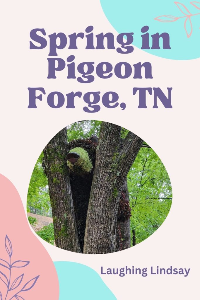 Spring in Pigeon Forge
