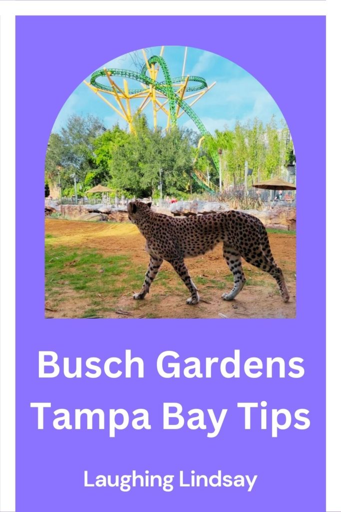 Busch Gardens Tampa Bay Tips