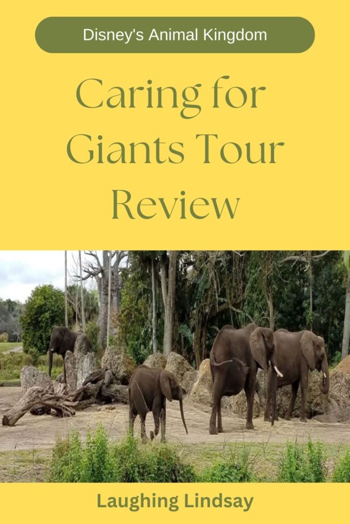Caring for Giants Tour