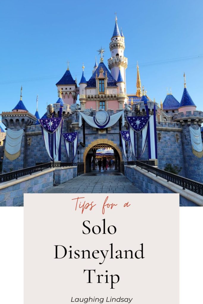 Solo Disneyland