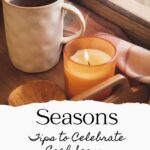 Tips to Celebrate Each Season