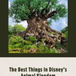 best things in Animal Kingdom