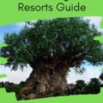Animal Kingdom Resorts