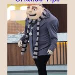 Solo Universal Orlando