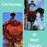 Disney World Halloween vs Christmas