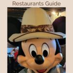 Animal Kingdom Table Service